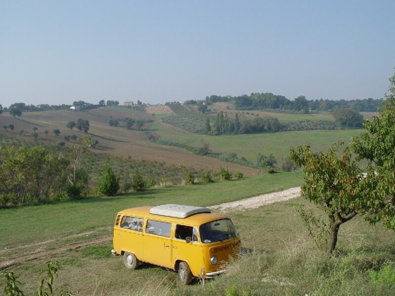 Il frutteto del monte