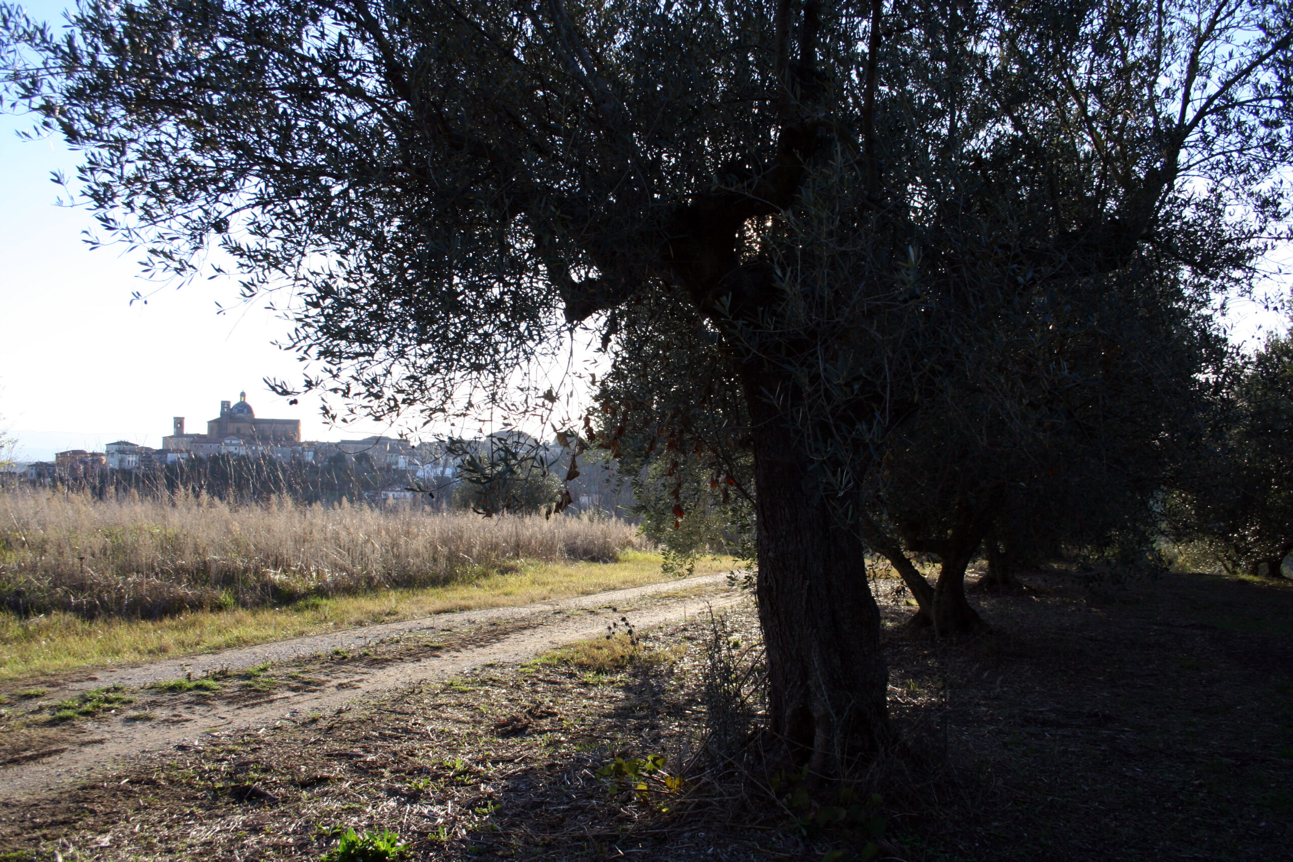 trekking